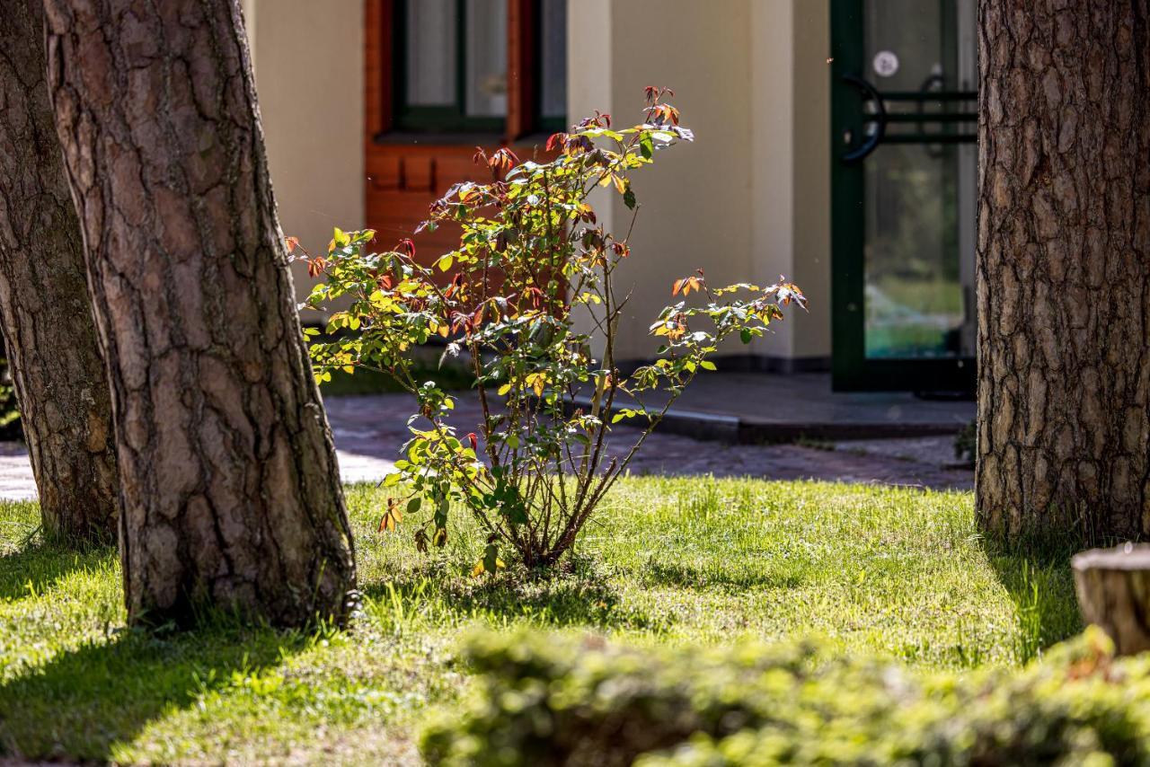 Palanga Park Hotel Εξωτερικό φωτογραφία